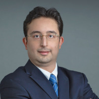 Photo of Arman Erkan, MD